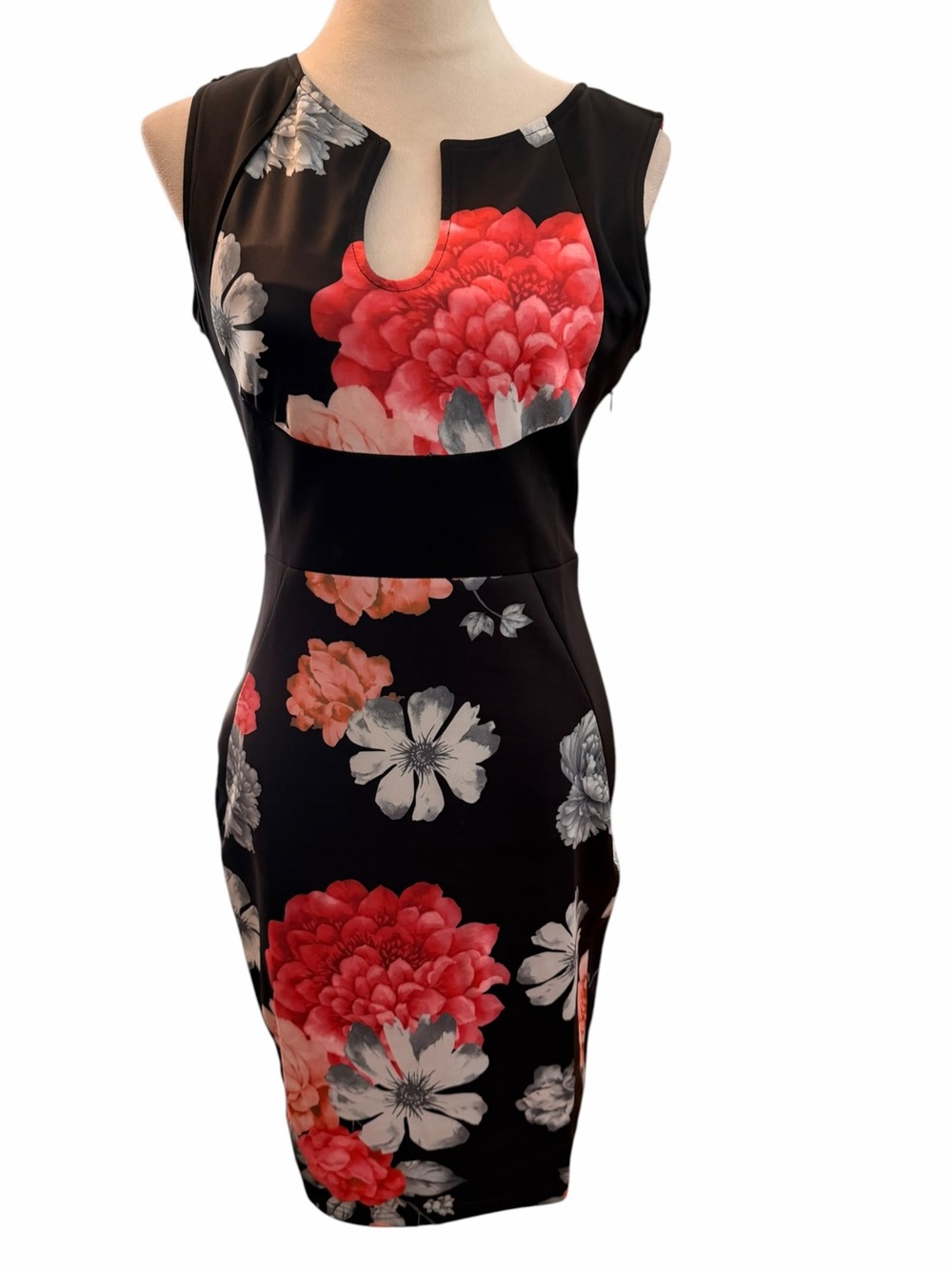 Fantaist Medium Floral Keyhole Sheath Dress Black Red Pink NEW Side Zip